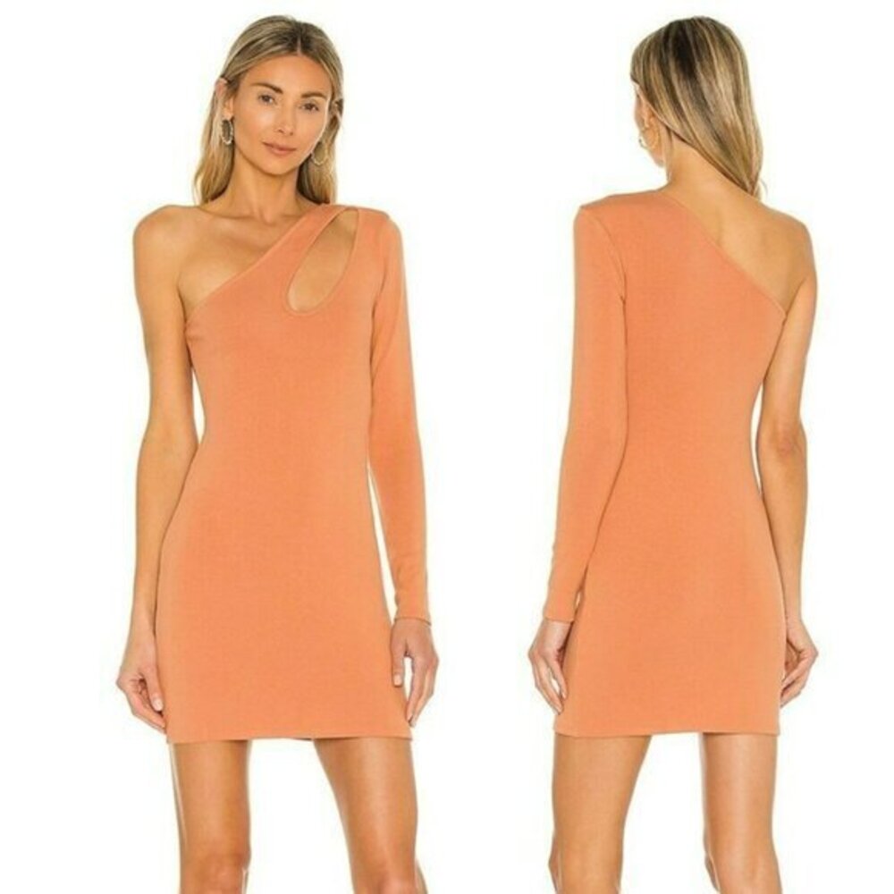 Lovers and Friends Johnson Mini Dress - Terracotta